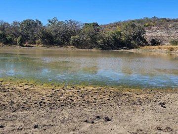 Farm & Agricultural Land