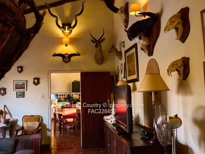 Sprawling 6-Bed Burnside Home in Bulawayo East with Pool & Gardens