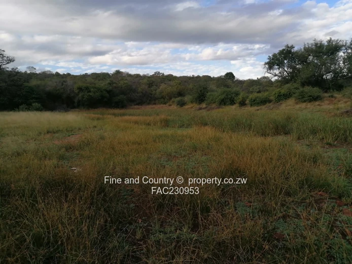 266ha Nyamandlovu Farm - Fully-fenced