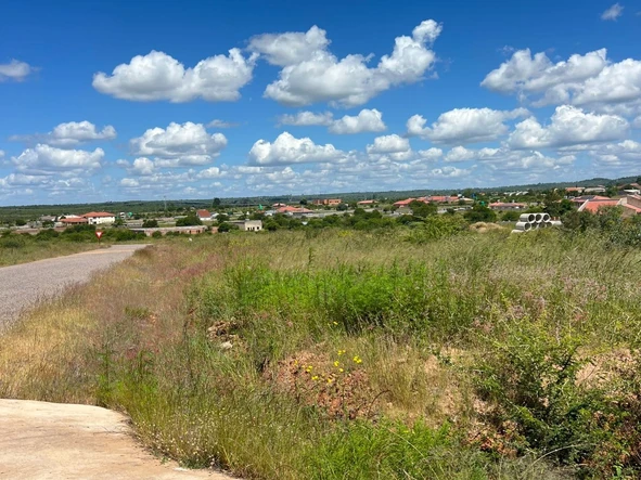 Stands & Residential Land