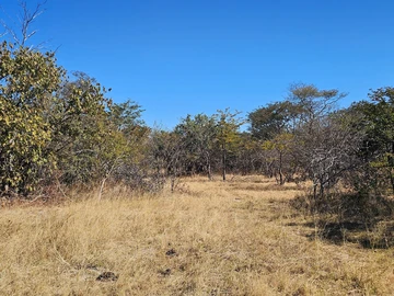 Farm & Agricultural Land