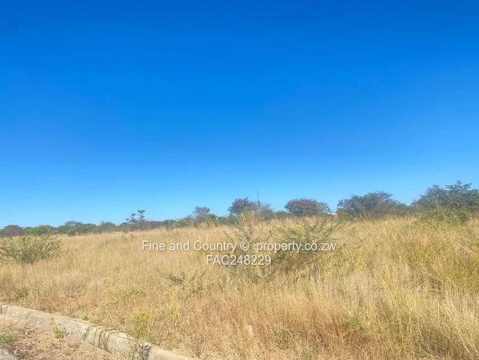 Prime 3.8-Hectare School Development Opportunity | Buena Vista, Riverside