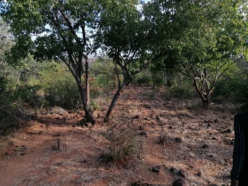 Farm & Agricultural Land