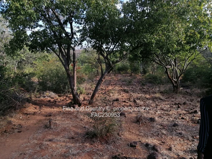 266ha Nyamandlovu Farm - Fully-fenced