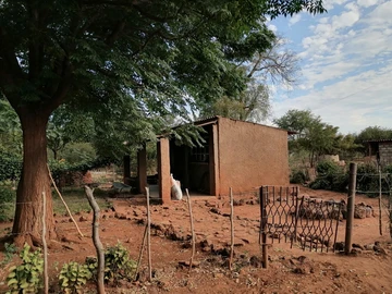 Farm & Agricultural Land