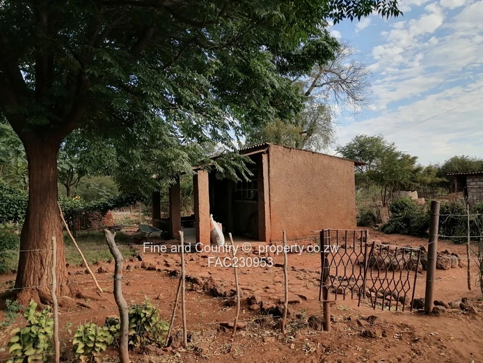 266ha Nyamandlovu Farm - Fully-fenced