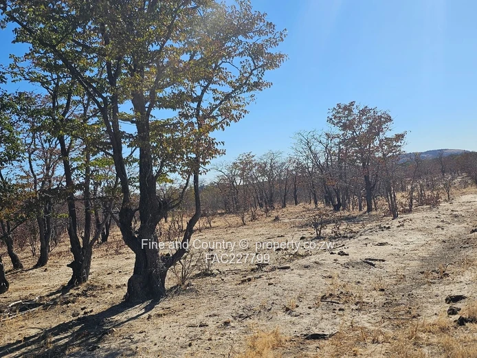 1718ha Plumtree Farm: Dam, Pump, Tractor & Outbuilds