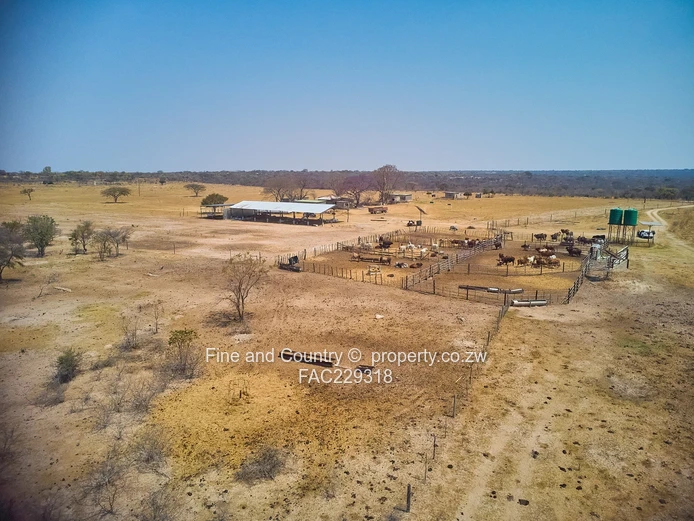 632ha Plumtree Farm — Arable, Grazing, Improvements & Dam