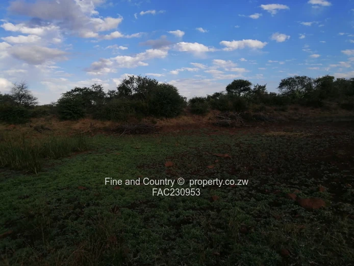 266ha Nyamandlovu Farm - Fully-fenced