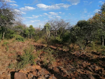 Farm & Agricultural Land