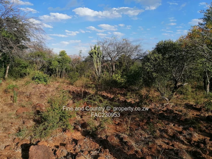266ha Nyamandlovu Farm - Fully-fenced