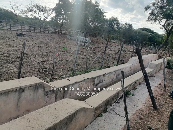 266ha Nyamandlovu Farm - Fully-fenced