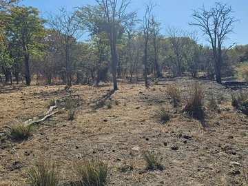 Farm & Agricultural Land