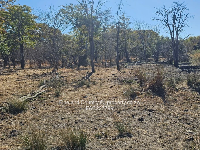 1718ha Plumtree Farm: Dam, Pump, Tractor & Outbuilds