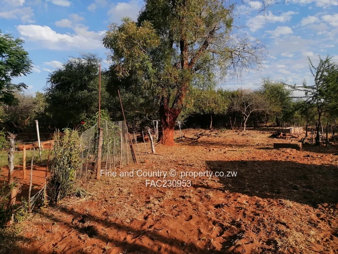 266ha Nyamandlovu Farm - Fully-fenced