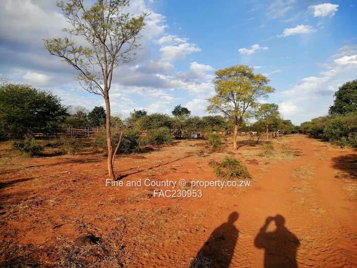 266ha Nyamandlovu Farm - Fully-fenced