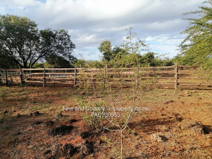 266ha Nyamandlovu Farm - Fully-fenced