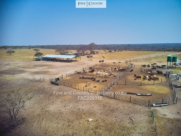 632ha Plumtree Farm — Arable, Grazing, Improvements & Dam