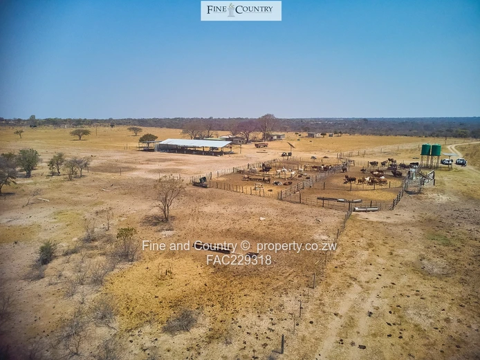 632ha Plumtree Farm — Arable, Grazing, Improvements & Dam