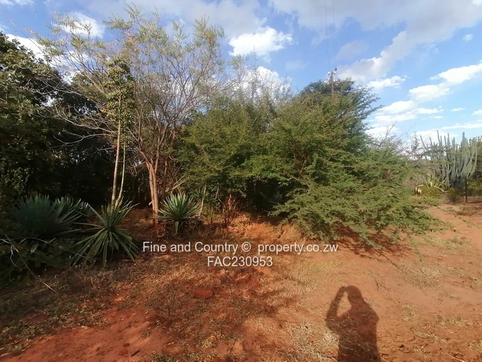 266ha Nyamandlovu Farm - Fully-fenced