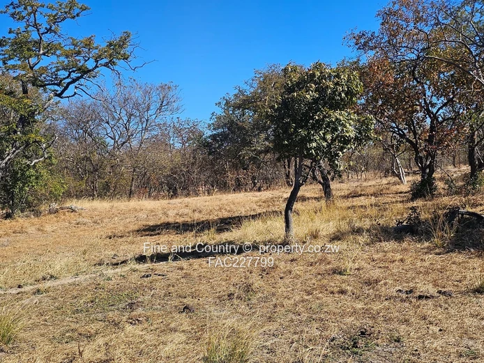 1718ha Plumtree Farm: Dam, Pump, Tractor & Outbuilds