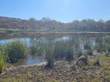 Farm & Agricultural Land