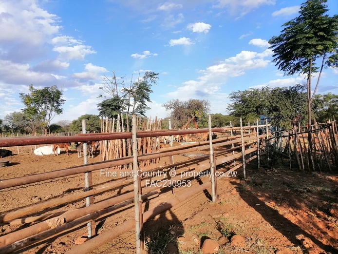 266ha Nyamandlovu Farm - Fully-fenced
