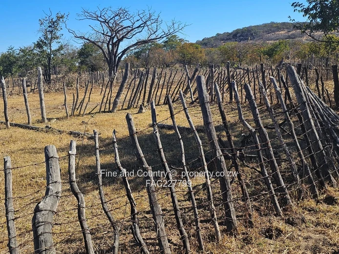 1718ha Plumtree Farm: Dam, Pump, Tractor & Outbuilds