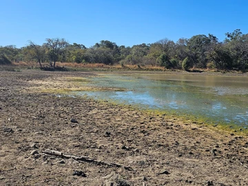 Farm & Agricultural Land