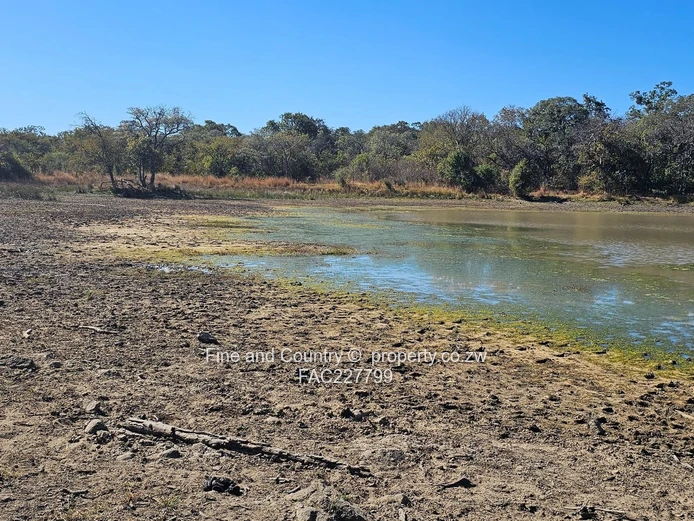 1718ha Plumtree Farm: Dam, Pump, Tractor & Outbuilds