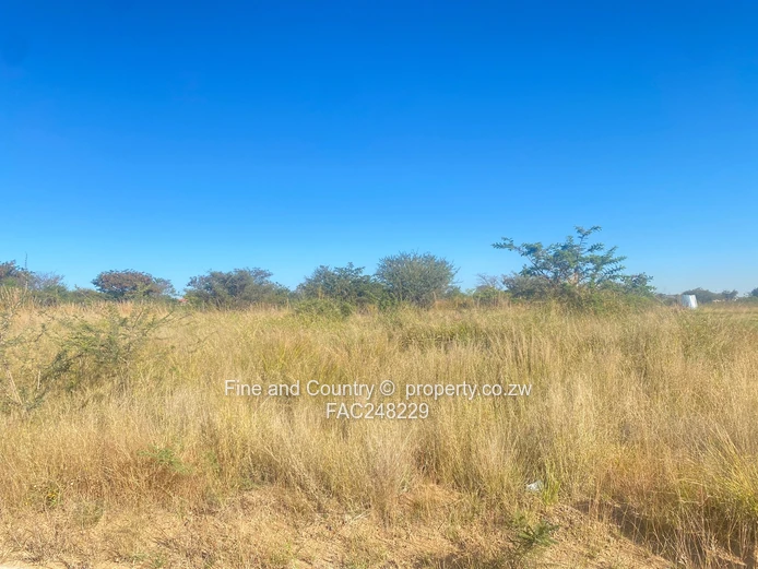 Prime 3.8-Hectare School Development Opportunity | Buena Vista, Riverside