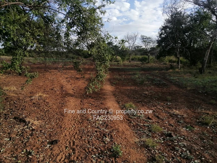 266ha Nyamandlovu Farm - Fully-fenced