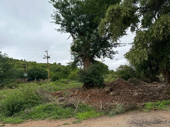 Commercial & Industrial Land