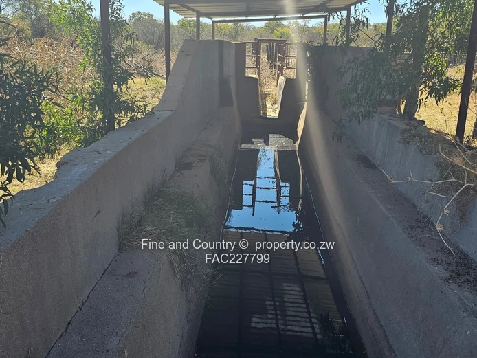 1718ha Plumtree Farm: Dam, Pump, Tractor & Outbuilds