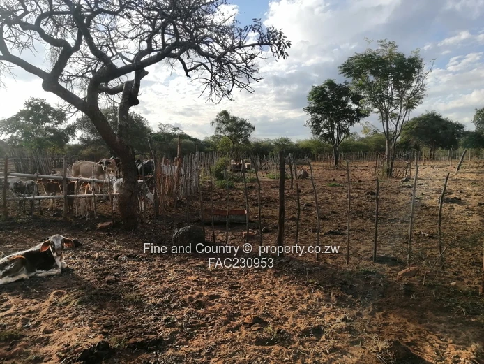 266ha Nyamandlovu Farm - Fully-fenced