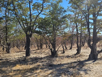 Farm & Agricultural Land