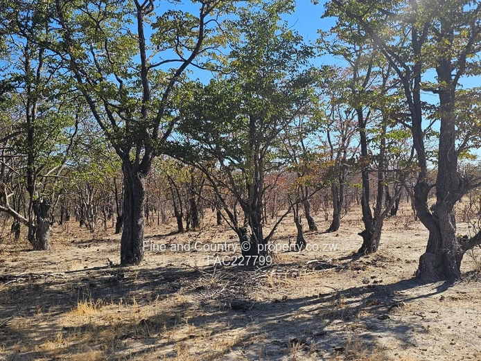 1718ha Plumtree Farm: Dam, Pump, Tractor & Outbuilds