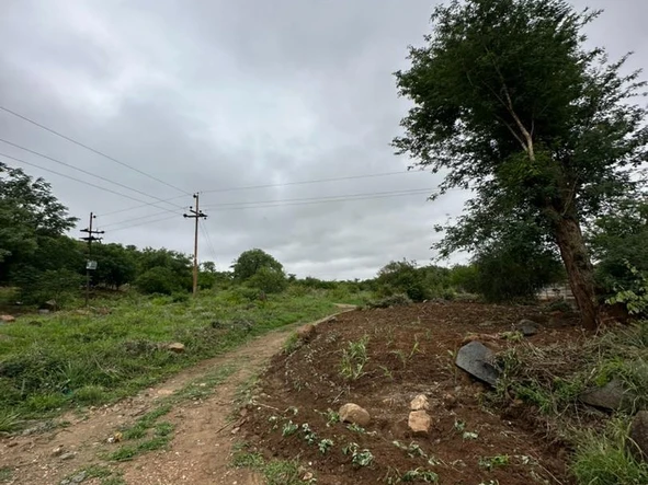 Commercial & Industrial Land