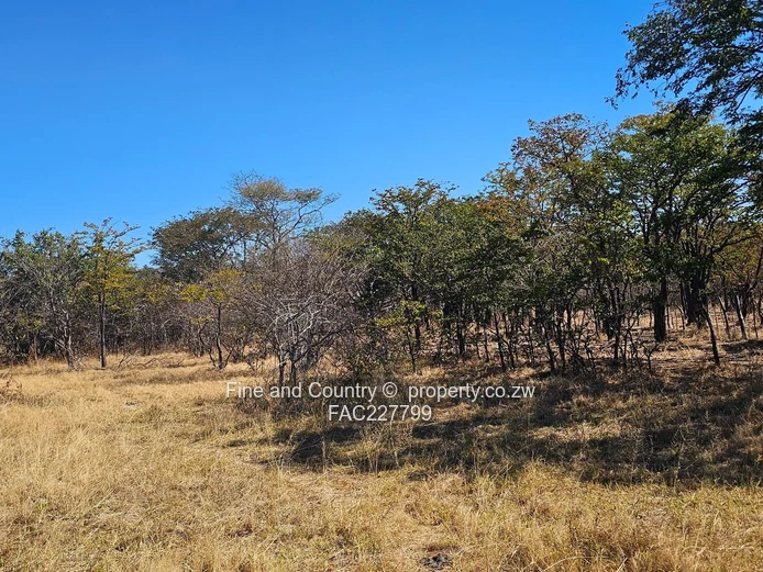 1718ha Plumtree Farm: Dam, Pump, Tractor & Outbuilds